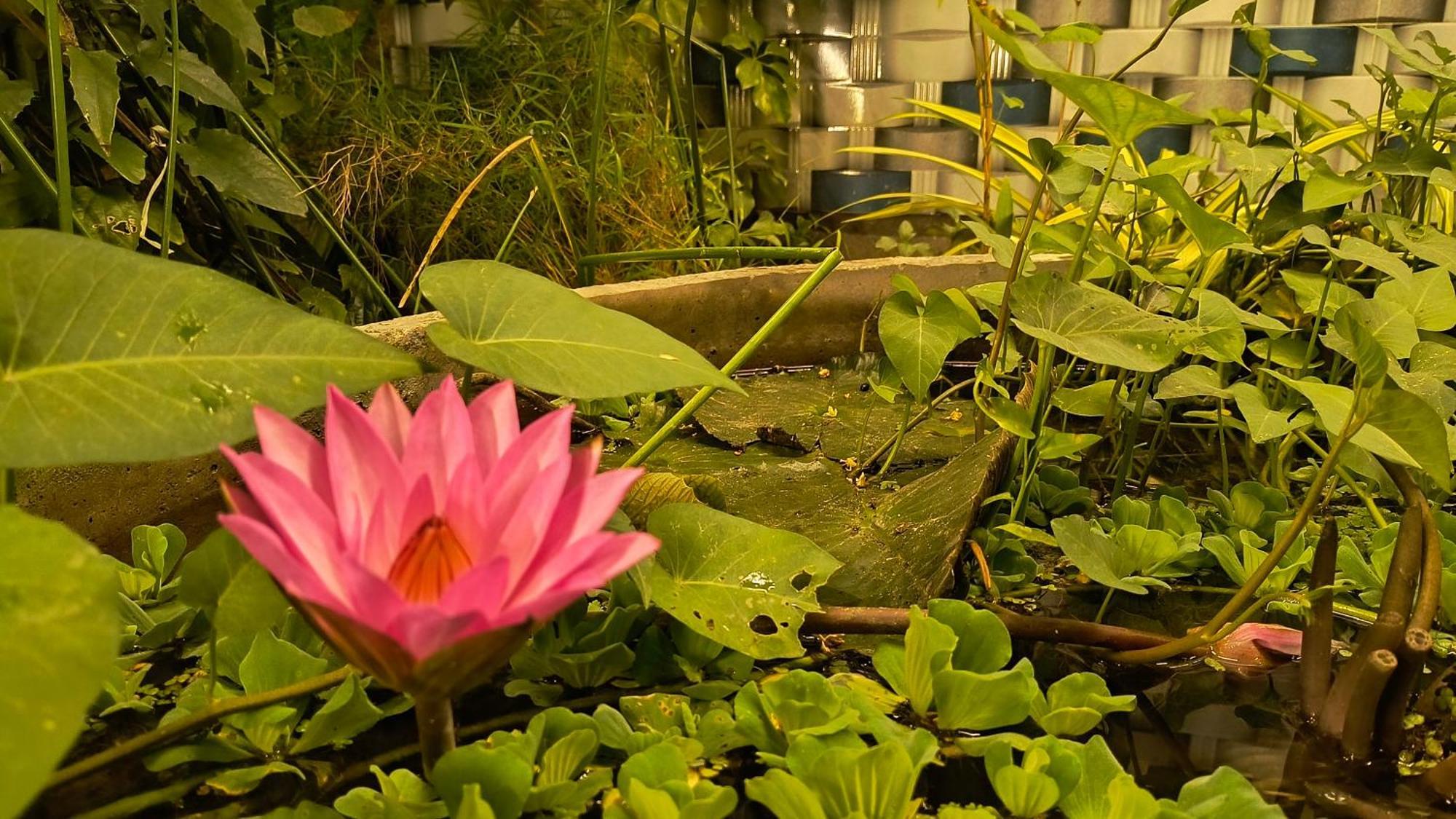 Gt Guest House Virampattinam Exterior photo